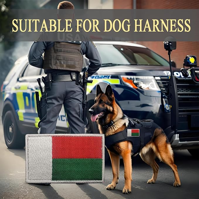 EmWoot 2PCS Madagascar Flag Patch Embroidered Morale Patch Military Tactical Patches Hook and Loop