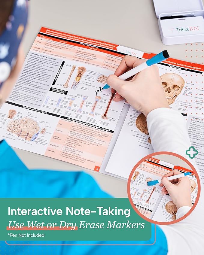 TribeRN Anatomy & Physiology Study Guides - Set of 10 Human Anatomy Guides for Nursing Students, School, College, Medical Professions - 12 Topics on Body Systems w/ Reference Charts & Terminology