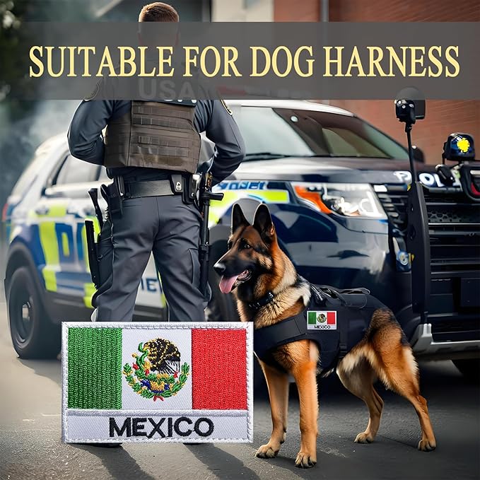 EmWoot 2PCS Mexican Mexico Flag Patch Embroidered Morale Patch Military Tactical Patches Hook and Loop(Mexican 01)
