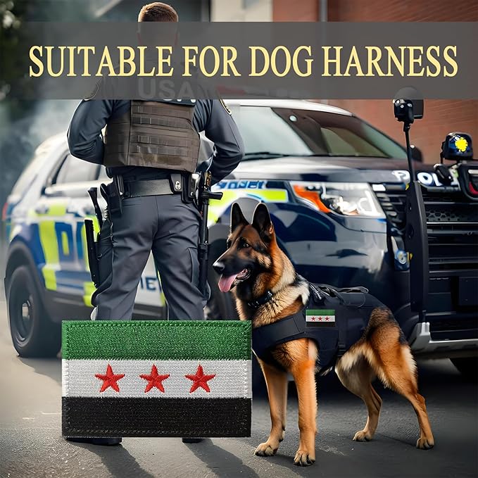 EmWoot 2PCS Syrian New Flag Patch Embroidered Morale Patch Military Tactical Patches Hook and Loop