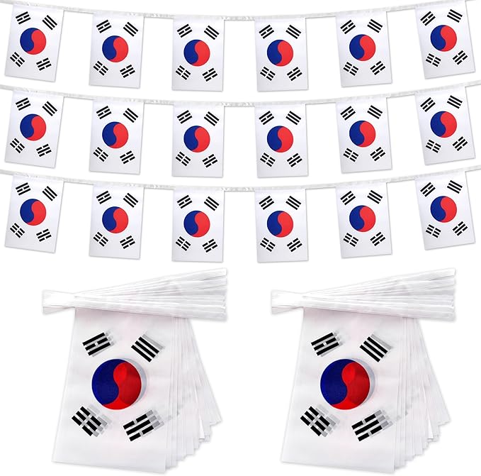 TSMD 2 Packs South Korea Flag Banner Korean Flags String Small Mini Hanging Flag Decorations,60 Feet 40 Flags