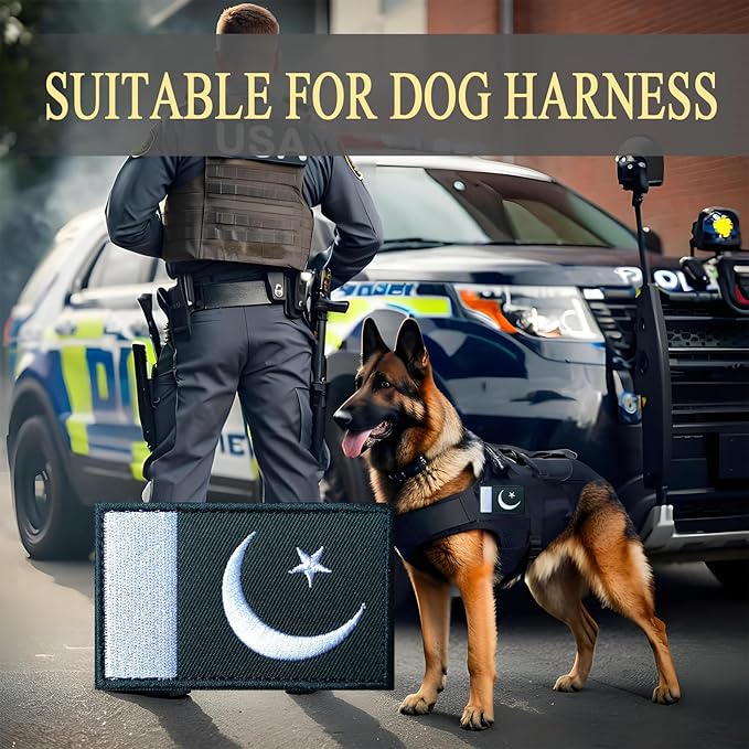 EmWoot 2PCS Pakistan Flag Patch Embroidered Morale Patch Military Tactical Patches Hook and Loop