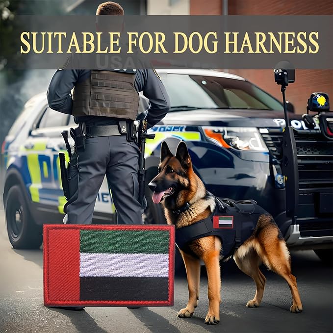 EmWoot 2PCS Arab Emirates Flag Patch Embroidered Morale Patch Military Tactical Patches Hook and Loop
