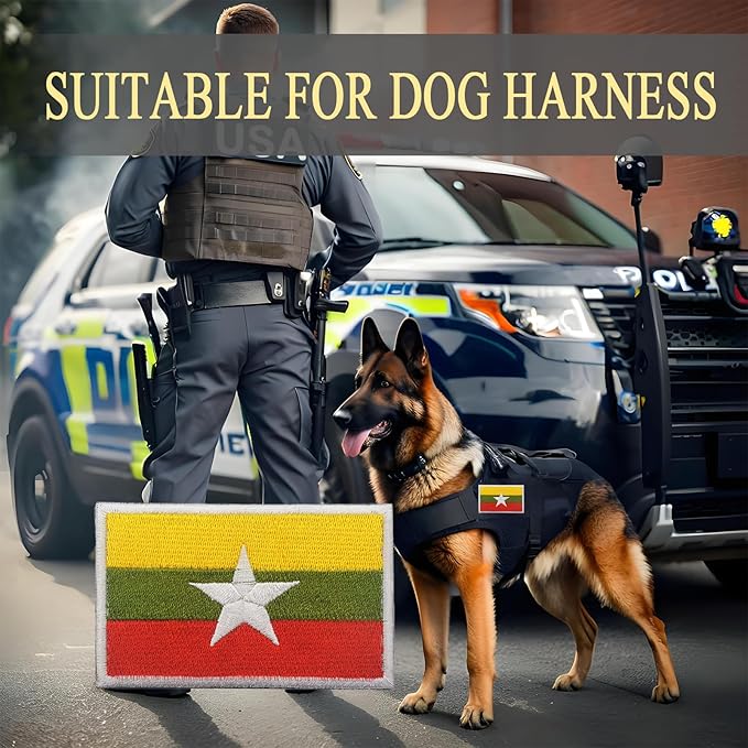 EmWoot 2PCS Myanmar Flag Patch Embroidered Morale Patch Military Tactical Patches Hook and Loop