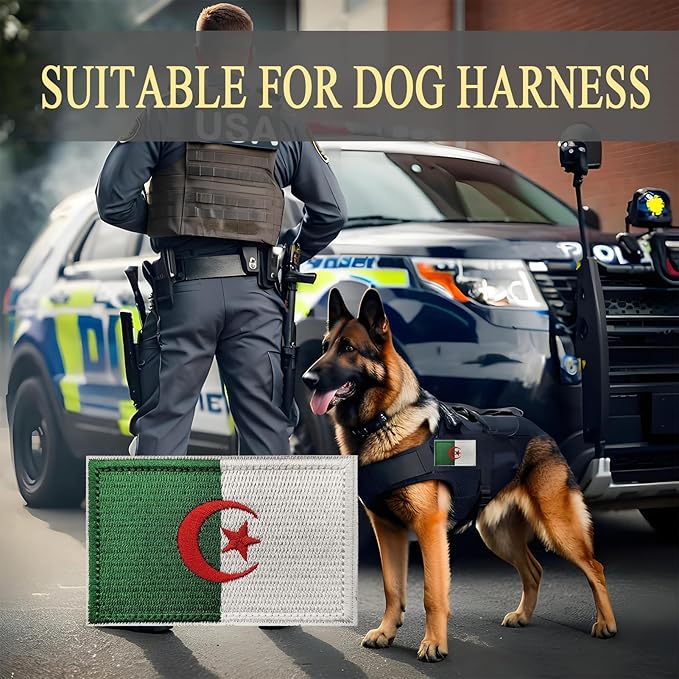 EmWoot 2PCS Algeria Flag Patch Embroidered Morale Patch Military Tactical Patches Hook and Loop