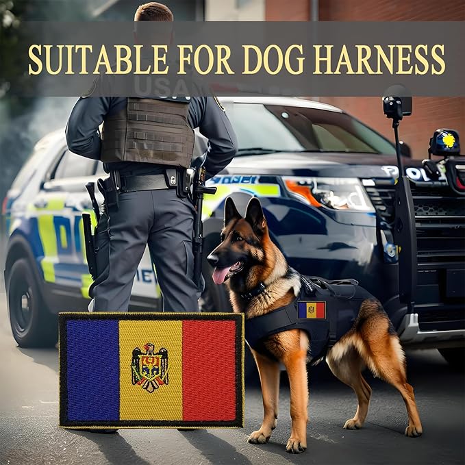 EmWoot 2PCS Moldova Flag Patch Embroidered Morale Patch Military Tactical Patches Hook and Loop