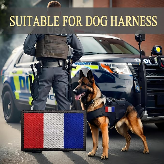 EmWoot 2PCS French Flag Patch Embroidered Morale Patch Military Tactical Patches Hook and Loop(Grey Border)
