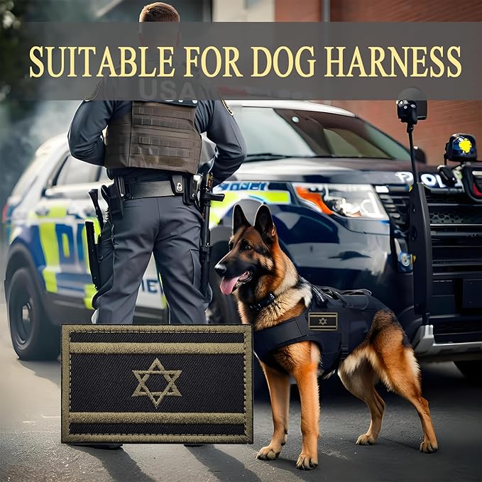 EmWoot 2PCS Israel Flag Patch Embroidered Morale Patch Military Tactical Patches Hook and Loop(ArmyGreen)