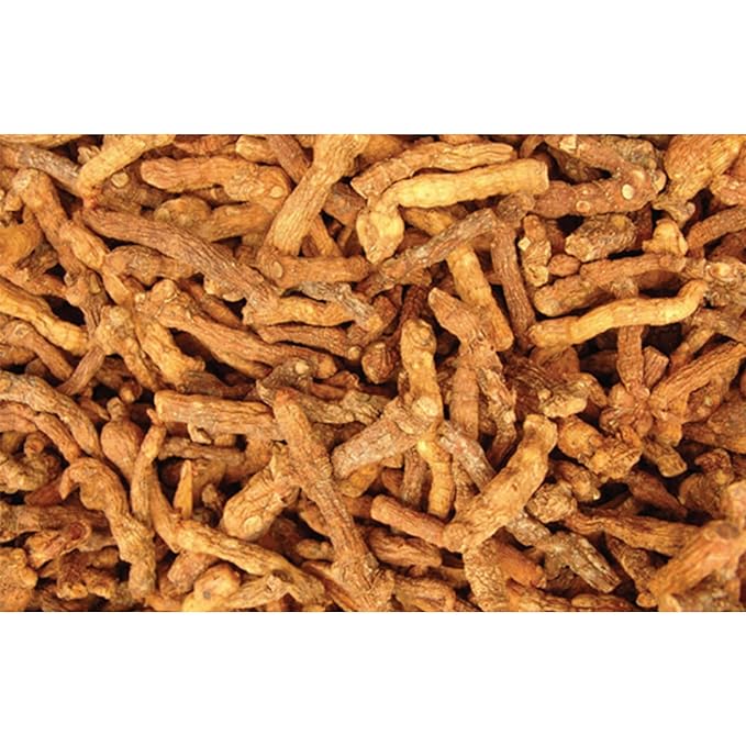 GAGOPA Solomon’s Seal Root Tea – 100% Korean Dried Polygonatum (Donggulrae), Smooth Roasted Flavor, Caffeine-Free Herbal Tea Ingredient, 100g Pack