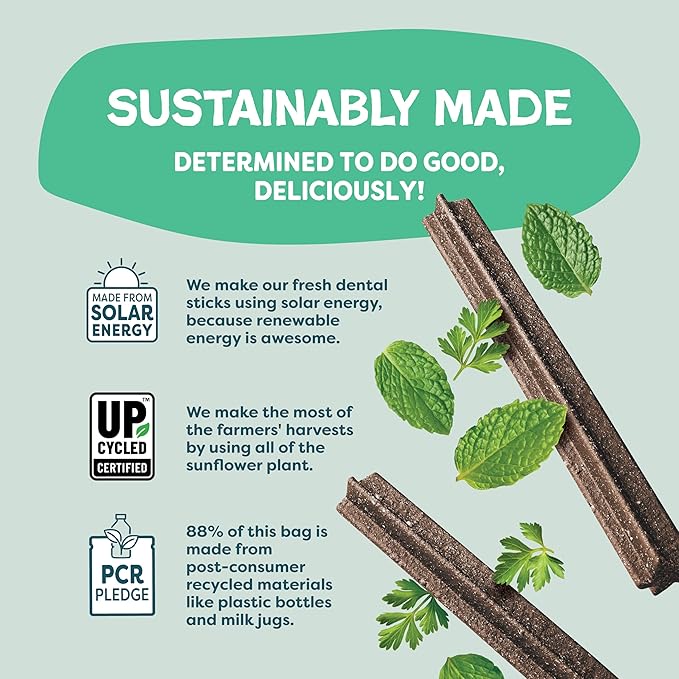 Shameless Pets Triple Mint Dental Chews for Dogs, 32 Chews - Natural Dog Teeth Cleaning Treats with Fresh Breath Benefits | Grain-Free Dental Sticks for Small, Medium & Large Dogs