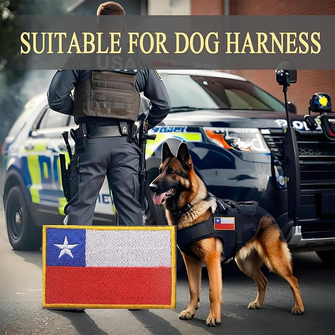 EmWoot 2PCS Chile Flag Patch Embroidered Morale Patch Military Tactical Patches Hook and Loop