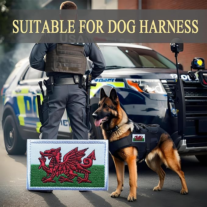 EmWoot 2PCS Wales Flag Patch Embroidered Morale Patch Military Tactical Patches Hook and Loop