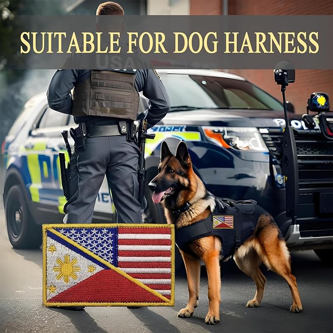 EmWoot 2PCS American Philippines Flag Patch Embroidered Morale Patch Military Tactical Patches Hook and Loop
