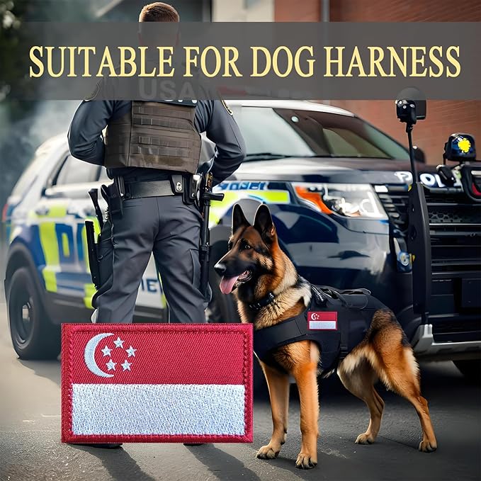EmWoot 2PCS Singapore Flag Patch Embroidered Morale Patch Military Tactical Patches Hook and Loop