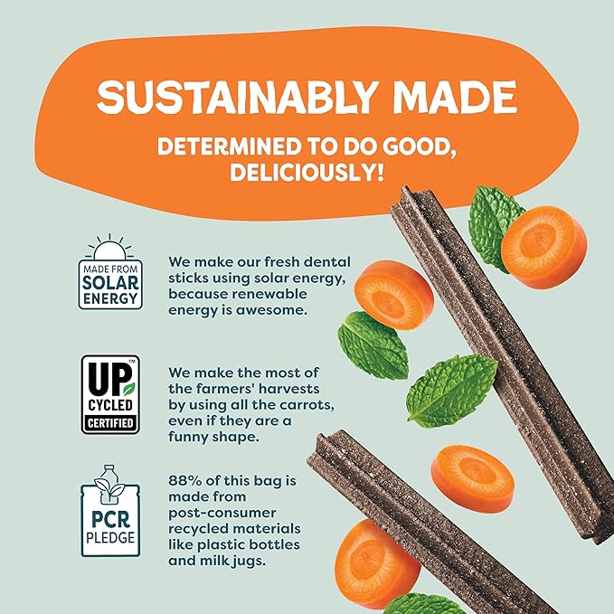 Shameless Pets Carrot & Mint Dental Chews for Dogs, 32 Chews - Natural Dog Teeth Cleaning Treats with Fresh Breath Benefits | Grain-Free Dental Sticks for Small, Medium & Large Dogs