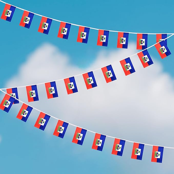 Yamiuo 100 Feet Haiti String Flag, 76 Pcs Haitian Banner Flag, Small Mini World Banner Flags for Sports Events, Bars Decorations, School Festivals, Party Decorations, Celebrations (Haiti)