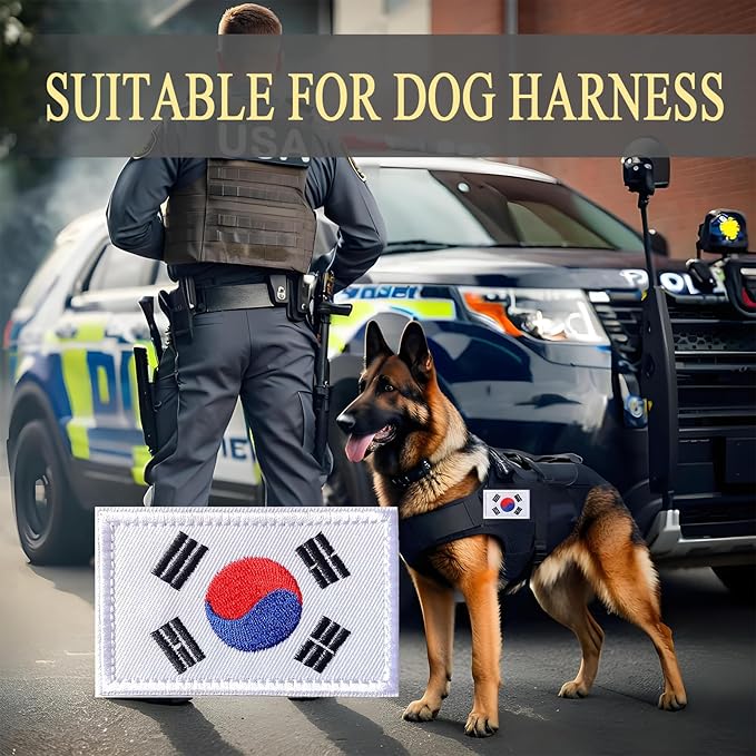 EmWoot 2PCS South Korea Flag Patch Embroidered Morale Patch Military Tactical Patches Hook and Loop