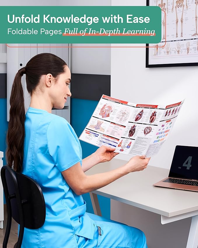 TribeRN Anatomy & Physiology Study Guides - Set of 10 Human Anatomy Guides for Nursing Students, School, College, Medical Professions - 12 Topics on Body Systems w/ Reference Charts & Terminology