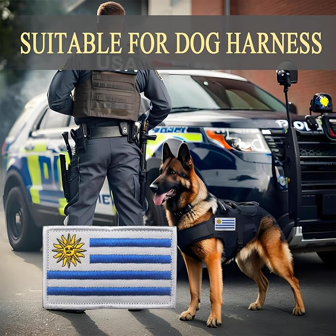 EmWoot 2PCS Uruguay Flag Patch Embroidered Morale Patch Military Tactical Patches Hook and Loop