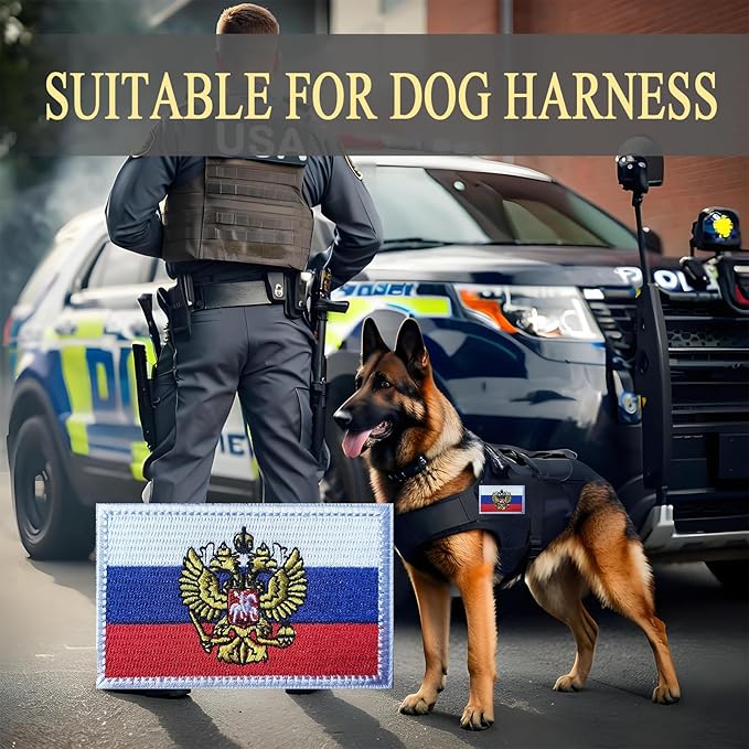 EmWoot 2PCS Russian Flag Emblem Patch Embroidered Morale Patch Military Tactical Patches Hook and Loop(Emblem)