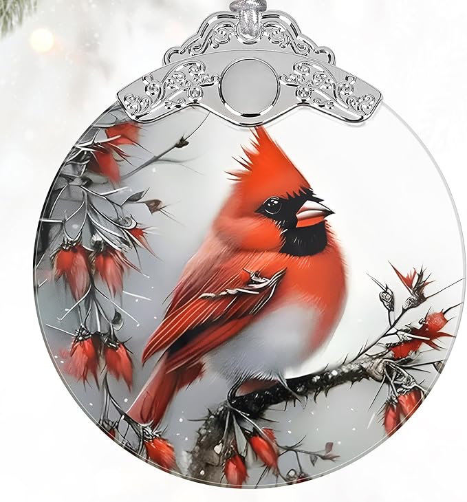 Sympathy Memorial Gifts, 2025 Christmas Ornaments - Sympathy Gifts for Loss of Loved One, Dad, Mom, Son - Bereavement, Remembrance Gift Ideas - Christmas Tree Decoration Stained Glass Ornament