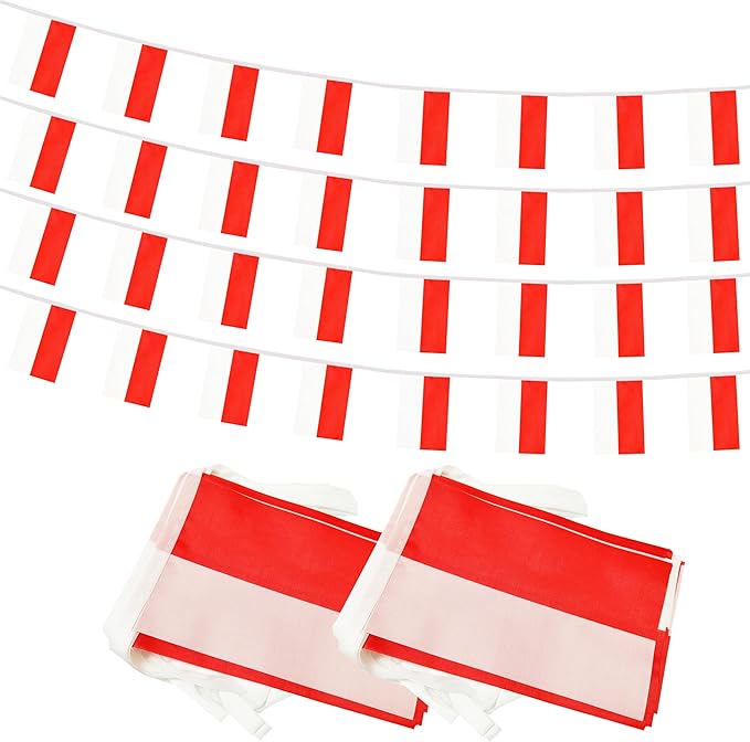Yamiuo 100 Feet Indonesia String Flag, 76 Pcs Indonesian Banner Flag, Small Mini World Banner Flags for Sports Events, Bars Decorations, School Festivals, Party Decorations, Celebrations (Indonesia)