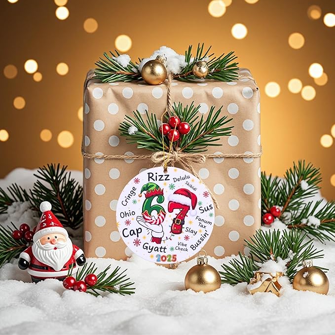 67 Funny Christmas Ornament – 67 Meme Teen Slang Santa Says Six Seven Acrylic Ornament, Rizz Gyatt Skibidi Delulu Sus Holiday Decor, Viral Xmas Gift for Gen Z Teens