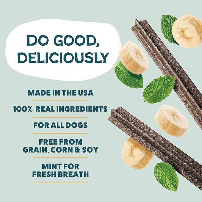 Shameless Pets Bone Broth, Banana, & Mint Dental Chews for Dogs, 32 Chews - Natural Dog Teeth Cleaning Treats with Fresh Breath Benefits | Grain-Free Dental Sticks for Small, Medium & Large Dogs