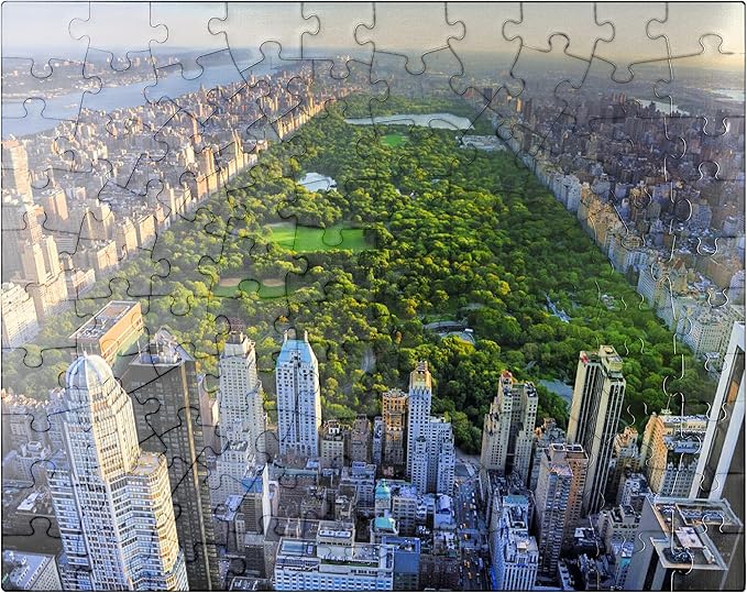 MyPuzzle Aerial View of Central Park Manhattan New York - Premium 100 Piece Jigsaw Puzzle for Adults