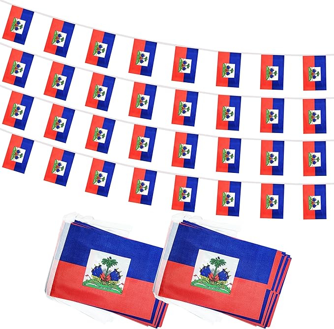 Yamiuo 100 Feet Haiti String Flag, 76 Pcs Haitian Banner Flag, Small Mini World Banner Flags for Sports Events, Bars Decorations, School Festivals, Party Decorations, Celebrations (Haiti)