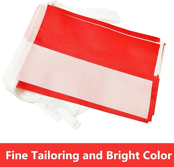 Yamiuo 100 Feet Indonesia String Flag, 76 Pcs Indonesian Banner Flag, Small Mini World Banner Flags for Sports Events, Bars Decorations, School Festivals, Party Decorations, Celebrations (Indonesia)