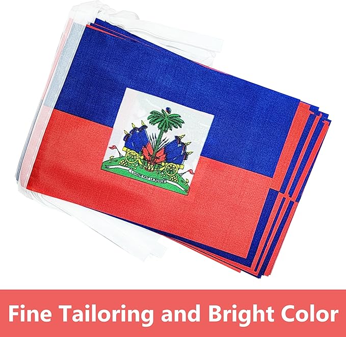 Yamiuo 100 Feet Haiti String Flag, 76 Pcs Haitian Banner Flag, Small Mini World Banner Flags for Sports Events, Bars Decorations, School Festivals, Party Decorations, Celebrations (Haiti)